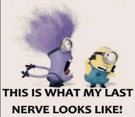 This Is What My Last Nerve Looks Like Meme GIF