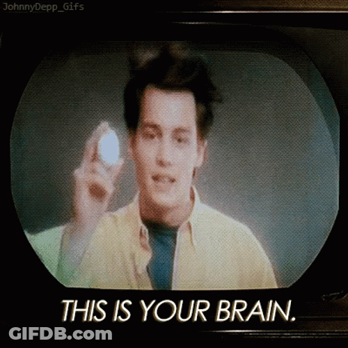 This Is Your Fried Brain GIF