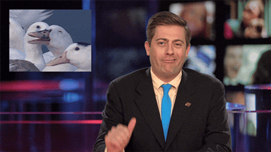 This News Anchor Guy Stinks GIF