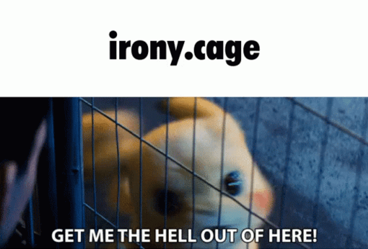 This Place Is A Prison Pokemon Detective Pikachu GIF