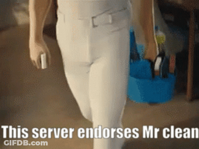 This Server Endorses Mr Clean Meme GIF