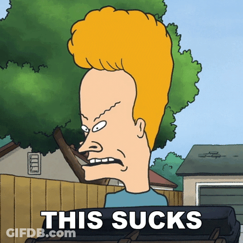 This Sucks Beavis GIF