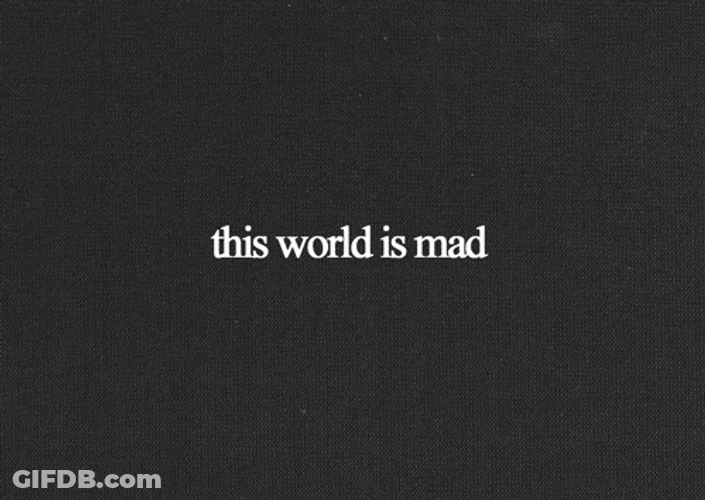 This World Is Mad Word GIF
