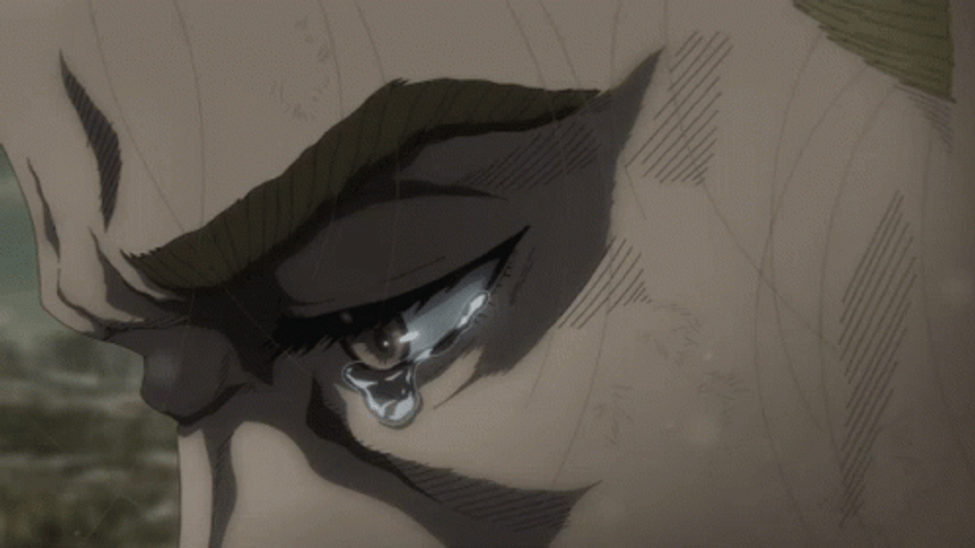 Thorfinn In Tears GIF
