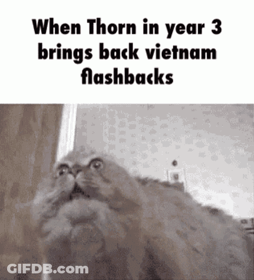 Thorn Flashback Cat GIF