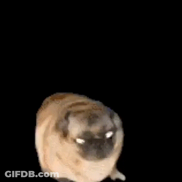 Those Who Watch Will Be Rewarded With Cookie GIF