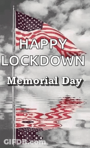 Three American Flags Reflection On Lock Down Memorial Day Card GIF