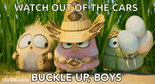 Three Angry Birds Watch Out Of The Cars Buckle Up Boys GIF