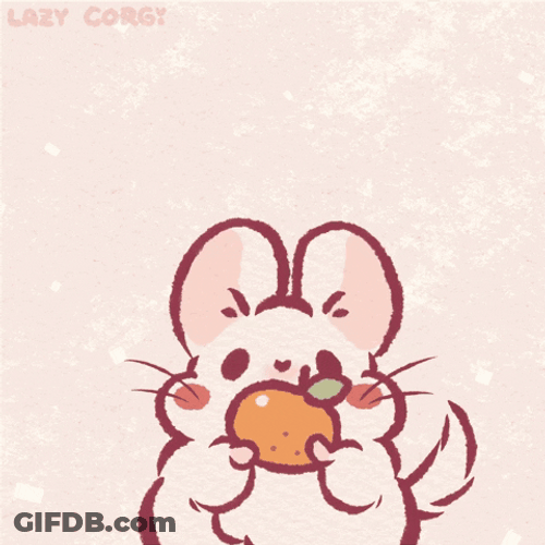 Three Animated Cute Chinchilla GIF