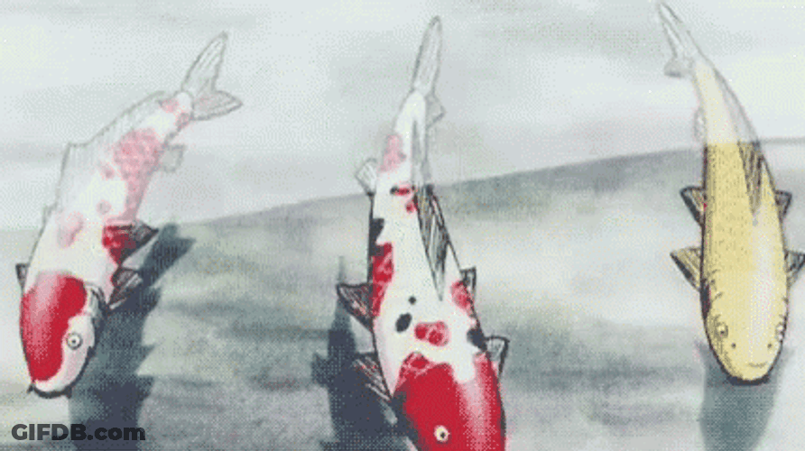 Three Anime Koi Fish Together GIF