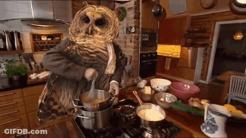 Three Baby Owls Sitting On Tree Branch GIF