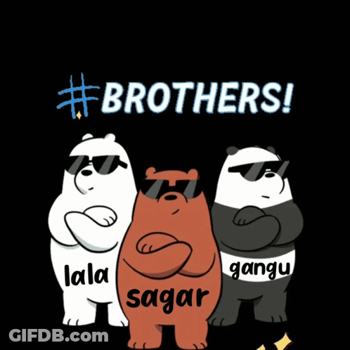 Three Bears Wearing Sunglasses With The Words " Brothers " Written Above Them GIF
