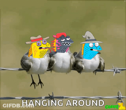 Three Birds Sitting On Barbed Wire GIF
