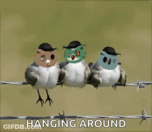 Three Birds Sitting On Barbed Wire Fence Hanging Around GIF