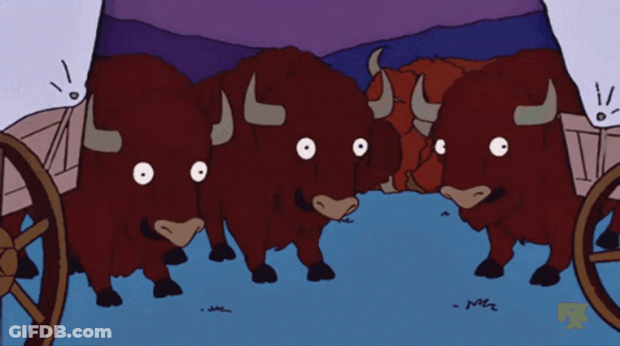 Three Bison Laughing Together GIF