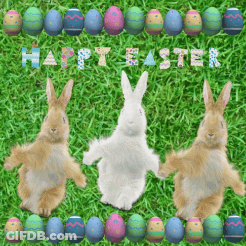 Three Bunny Rabbits Are Dancing In The Grass With Easter Eggs Behind Them GIF
