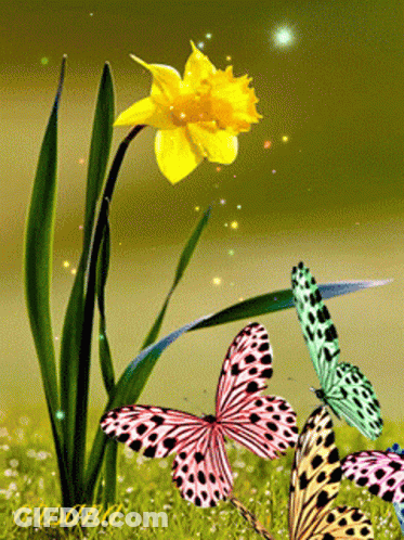 Three Butterflies Are Flying Around A Yellow Flower In A Garden GIF