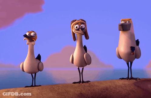 Three Cartoon Birds Standing On Rock GIF