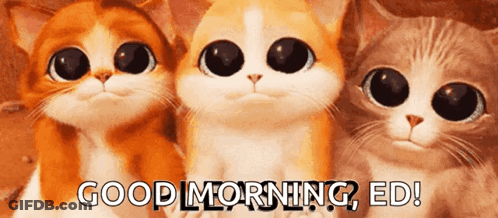 Three Cartoon Cats Are Standing Next To Each Other And Saying Good Morning GIF