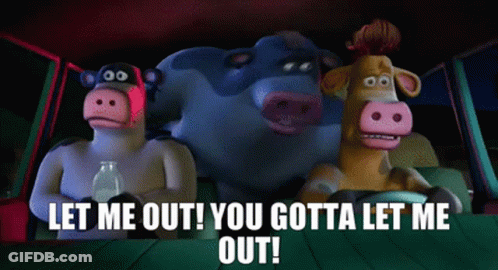 Three Cartoon Cows In Car Saying Let Me Out You Gotta Let Me Out GIF