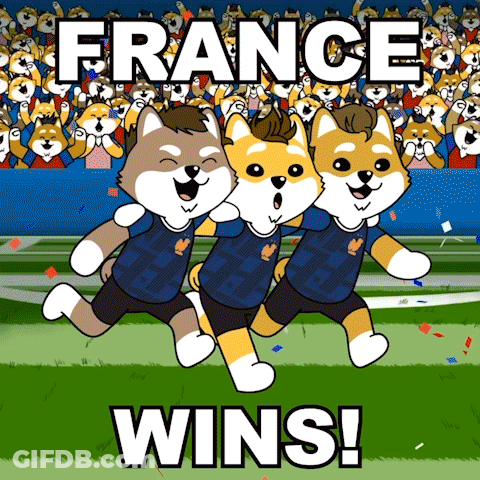 Three Cartoon Dogs Are Running On A Field With The Words France Wins GIF
