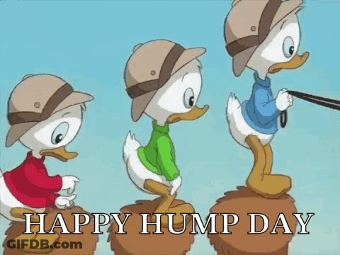 Three Cartoon Ducks On Hay Saying Happy Hump Day GIF
