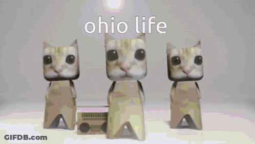 Three Cats Are Standing Next To Each Other On A Pink Background With The Words Ohio Life Written Above Them . GIF
