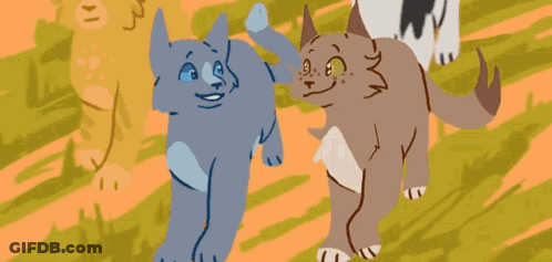 Three Cats One Crying GIF