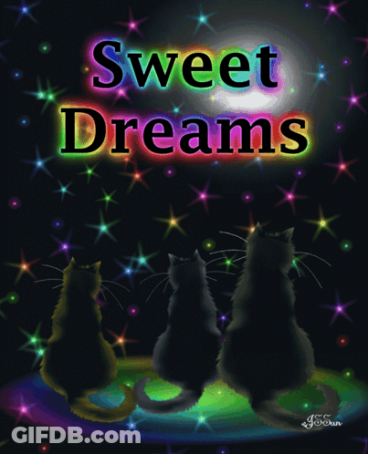 Three Cats Sitting On Rainbow Sweet Dreams GIF