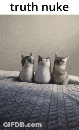 Three Cats Sitting With Truth Nuke Above GIF