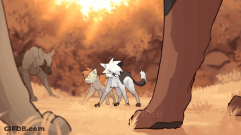Three Cats Standing With Note GIF