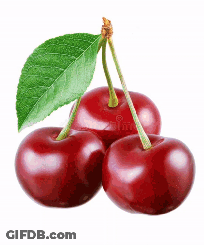 Three Cherries With A Green Leaf On A White Background . GIF