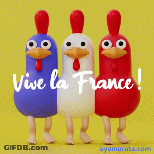 Three Chickens Are Standing Next To Each Other With The Words Vive La France Written On Them GIF