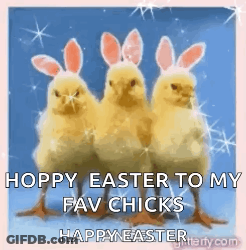 Three Chickens With Bunny Ears On Their Heads Are Standing Next To Each Other . GIF