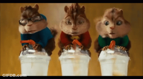 Three Chipmunks Are Drinking Milkshakes With Straws GIF