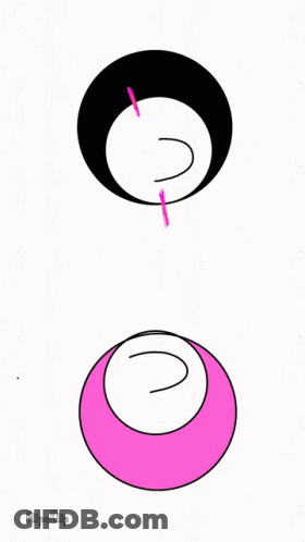 Three Circles With Heart And Letter D GIF