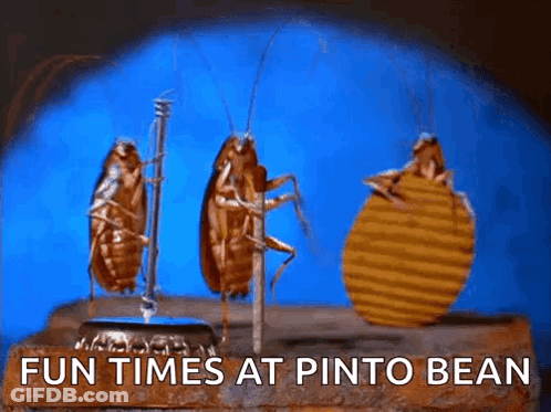 Three Cockroaches Are Standing Next To A Bottle Opener With The Words Fun Times At Pinto Bean Below Them . GIF
