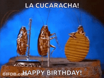 Three Cockroaches Are Standing Next To Each Other On A Brick With The Words La Cucaracha Happy Birthday . GIF