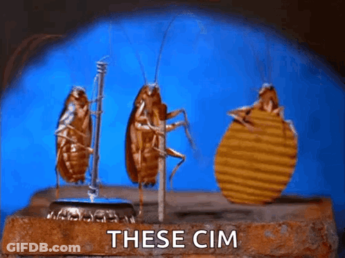 Three Cockroaches Are Standing Next To Each Other On A Brick With The Words These Cim Written On The Bottom . GIF