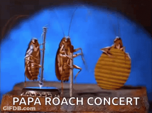 Three Cockroaches Are Standing On A Bottle Cap With The Words Papa Roach Concert Written Below Them GIF