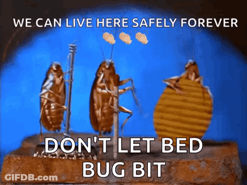 Three Cockroaches Standing Next To Each Other With The Words " We Can Live Here Safely Forever " GIF