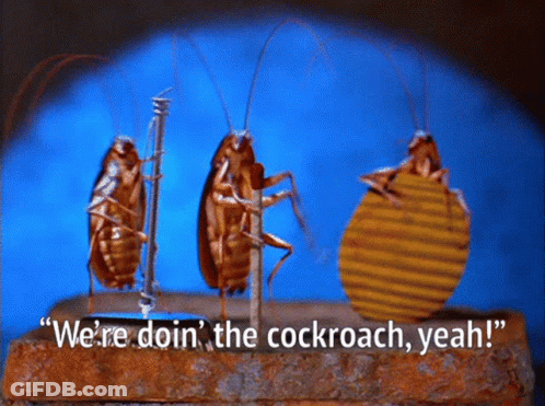 Three Cockroaches Standing Next To Each Other With The Words " We 'Re Doin ' The Cockroach Yeah Yeah " GIF