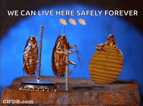 Three Cockroaches We Can Live Here Safely GIF