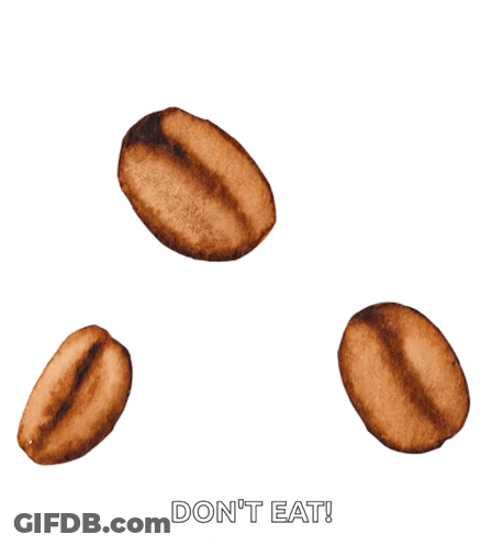 Three Coffee Beans Don T Eat GIF