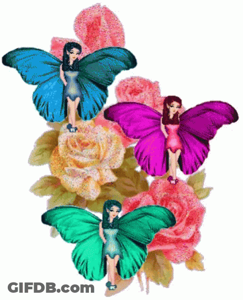 Three Colorful Fairy In Flower Background GIF