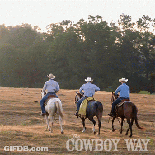 Three Cowboys Riding Horses GIF