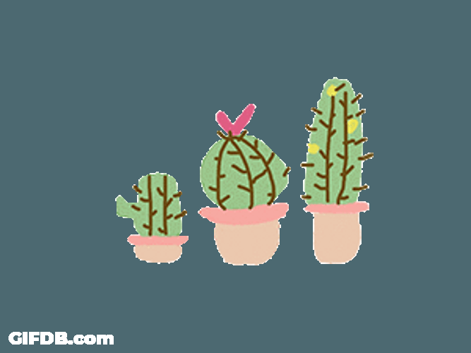 Three Cute Cactus Plant GIF