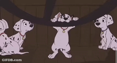 Three Dalmatian Dogs Playing With Rope GIF