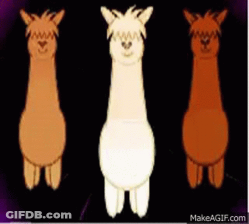 Three Different Colored Llamas Are Standing Next To Each Other On A Dark Background . GIF