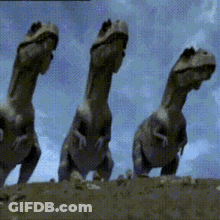 Three Dinosaurs Are Standing Next To Each Other In The Dirt GIF